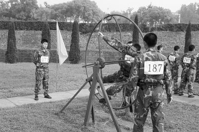 最新网禁区海报