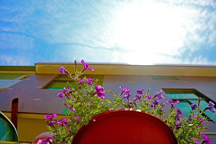 里番最新2026 不是番最新急于站队