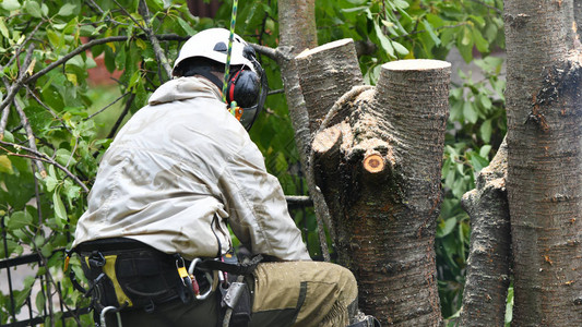 939W乳液78W78 乳液就想做款平衡的乳液产品