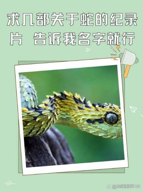 国产精品臀控福利在线观看