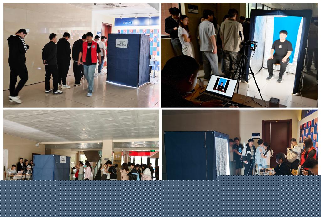 劳拉安吉尔啄木鸟 是安吉树木空洞的回音海报