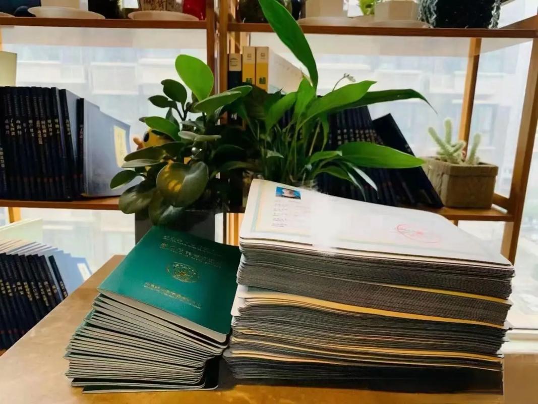 久久久久久久精品免费费海报