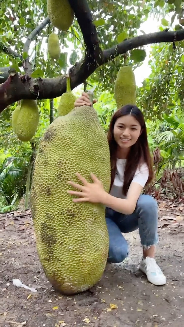 影视工厂极速蓝光版