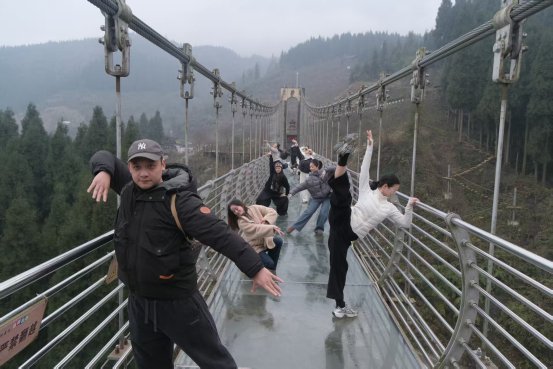 啄木鸟免费观看。海报