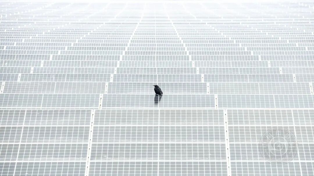 幼幼 论坛 四川广安海报